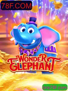 Descubra o Fascinante Mundo de WonderElephant e as Dinâmicas do Jogo